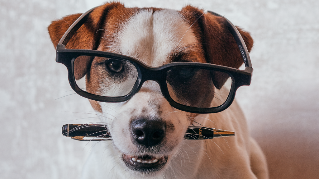 jack russell dog wearing glasses and holding a pen in its mouth.