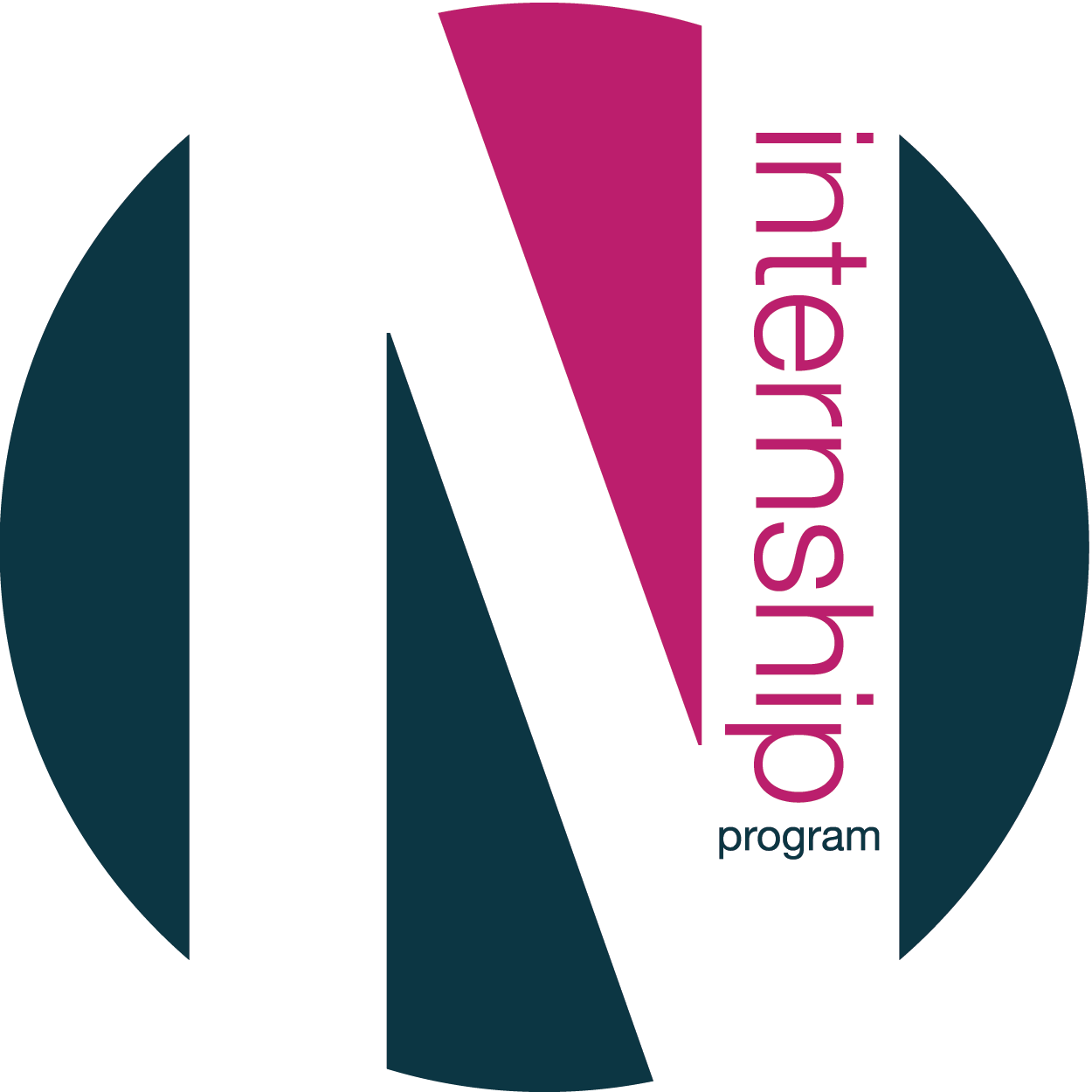 numensa internship logo - circle logo with white N