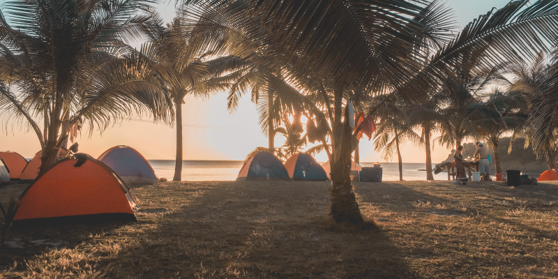 A campsite with tents and people standing around a table - palm trees