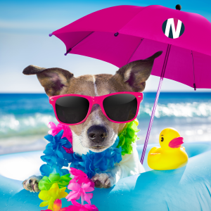 A Jack Russell dog wearing sunglasses, holding a parasol on a beach